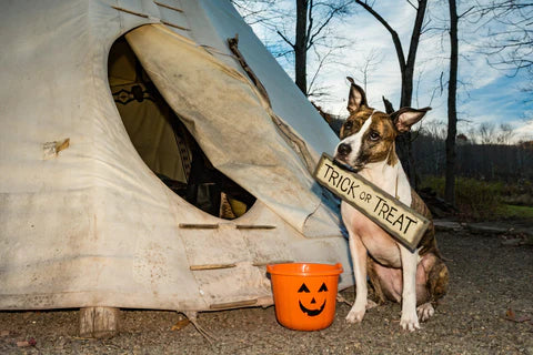 The best Halloween camping events of 2022