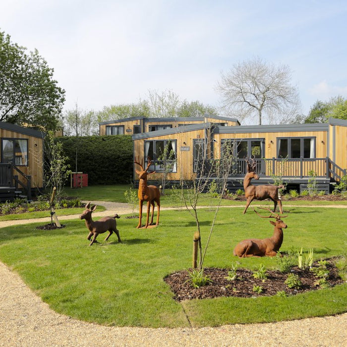 Discovering Sandy Balls Holiday Village: A Family-Friendly Haven in the New Forest