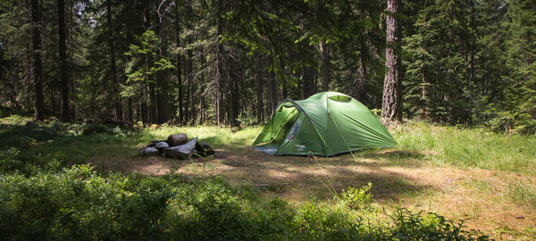 Vango GO tent pitched in forest sunshine, ideal for solo or two-person camping