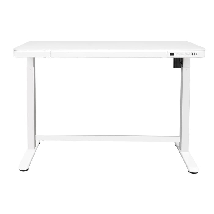 Dellonda Single Motor Ultra-Quiet Electric Desk with Control Panel USB Port Dellonda - UK Camping And Leisure