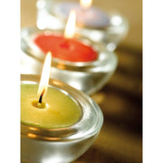 Citronella Maxi Tealights (8) S0392124149 Ivyline - UK Camping And Leisure