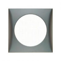 Berker Single Frame Matt Chrome 21241C