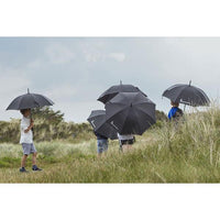 Isabella Umbrella