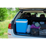 Campingaz Cooler Cool Box IceTime Plus 26L Camping Caravan Picnic Fishing Campingaz - UK Camping And Leisure