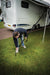 Maypole Universal Caravan Awning Tie Down Kit Maypole - UK Camping And Leisure