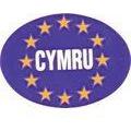 MDS1203 W4 Oval Euro CYMRU Sticker 37145 W4 - UK Camping And Leisure