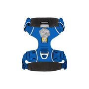 Ruffwear Front Range Dog Harness in Blue Pool (L / XL) Ruffwear - UK Camping And Leisure