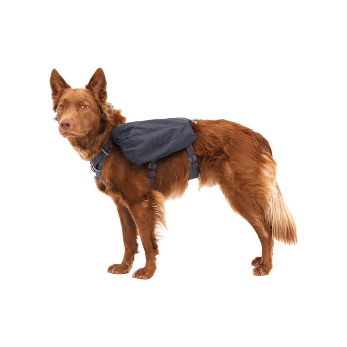 Ruffwear Front Range Dog Day Pack in Basalt Grey (Medium) Ruffwear - UK Camping And Leisure