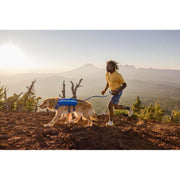 Ruffwear Trail Runner Dog Running Vest in Blue Pool (Small) Ruffwear - UK Camping And Leisure