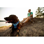 Ruffwear Front Range Dog Harness - Coastal Mountains Print (L / XL) Ruffwear - UK Camping And Leisure