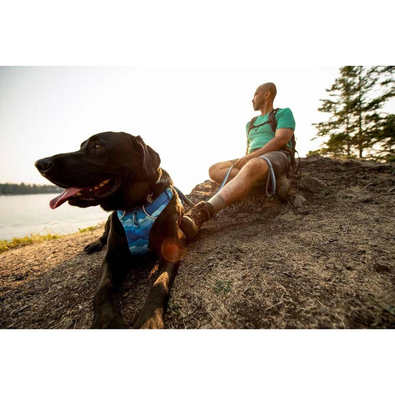 Ruffwear Front Range Dog Harness - Coastal Mountains Print (L / XL) Ruffwear - UK Camping And Leisure