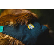 Ruffwear Flagline Dog Harness with Handle in Basalt Grey (X Small) Ruffwear - UK Camping And Leisure