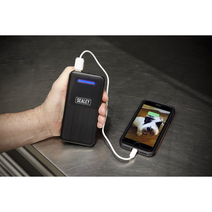 Sealey Portable Power Bank 10W 10000mAh SPB101 Sealey - UK Camping And Leisure