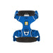 Ruffwear Front Range Dog Harness in Blue Pool (Medium) Ruffwear - UK Camping And Leisure