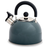 Hamilton slate stainless steel whistling kettle (2L) K0056SL