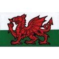 W4 Welsh Dragon Medium Rectangular Sticker 37149