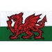 W4 Welsh Dragon Medium Rectangular Sticker 37149 W4 - UK Camping And Leisure
