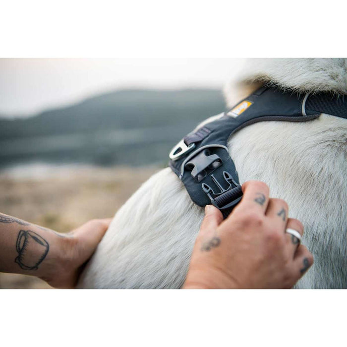 Ruffwear Front Range Dog Harness in Basalt Grey (X Small) Ruffwear - UK Camping And Leisure