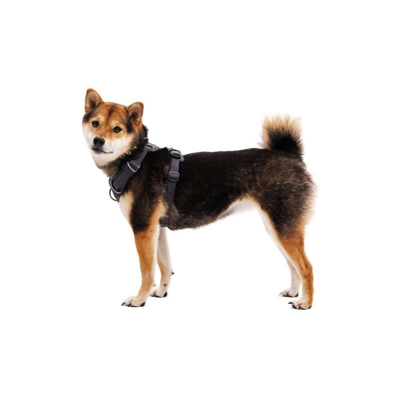 Ruffwear Front Range Dog Harness in Basalt Grey (Medium) Ruffwear - UK Camping And Leisure