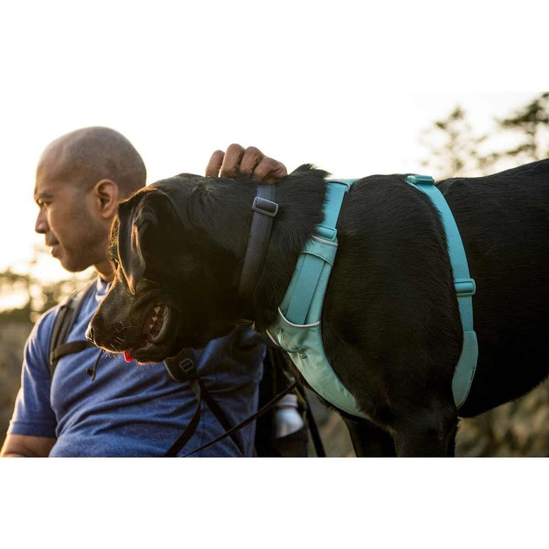 Ruffwear Front Range Dog Harness in River Rock Green (L / XL) Ruffwear - UK Camping And Leisure