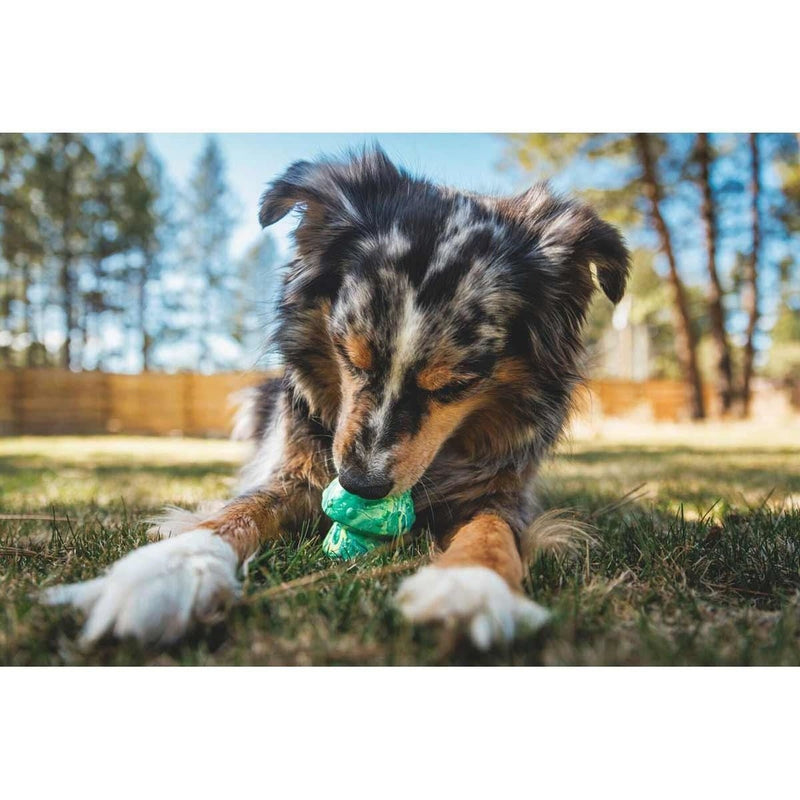 Ruffwear Toadstool Dog Toy in Moss Green (One Size) Ruffwear - UK Camping And Leisure