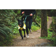 Ruffwear Sun Shower Dog Raincoat in Mineral Yellow (Medium) Ruffwear - UK Camping And Leisure