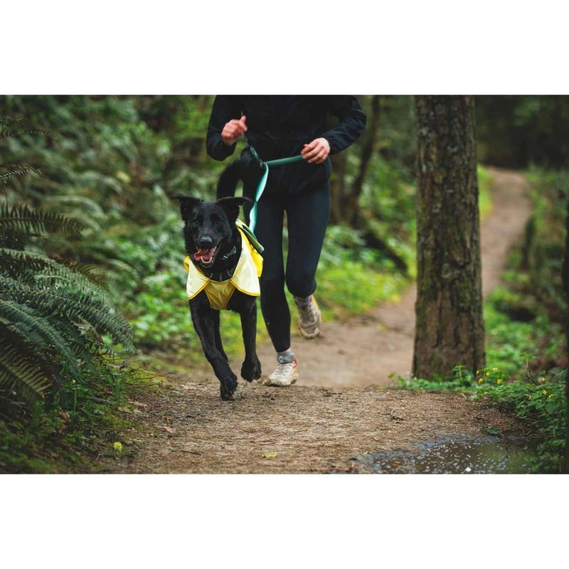 Ruffwear Sun Shower Dog Raincoat in Mineral Yellow (Medium) Ruffwear - UK Camping And Leisure