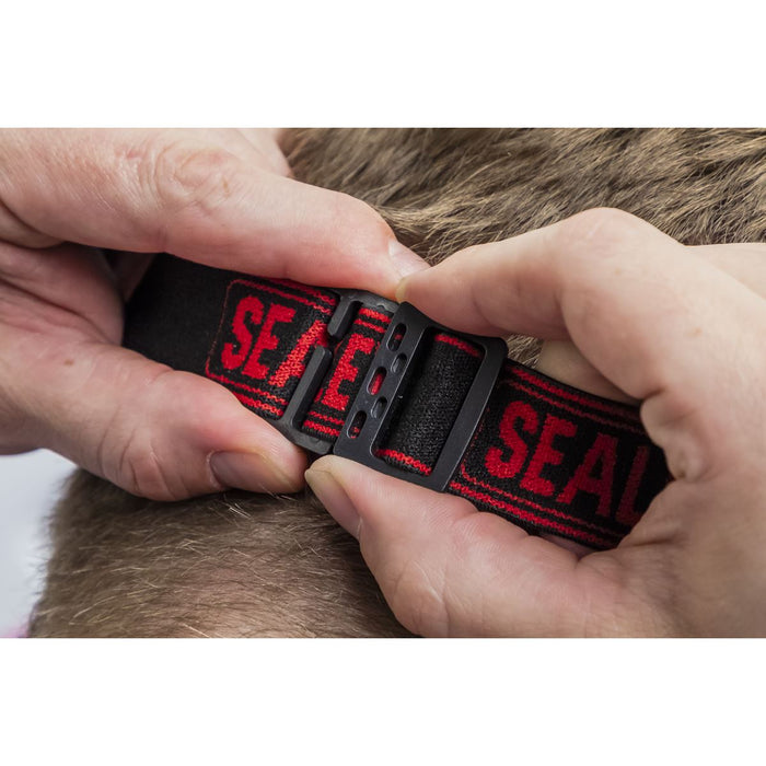 Sealey Rechargeable Head Torch with Auto-Sensor 8W COB LED HT08R Sealey - UK Camping And Leisure