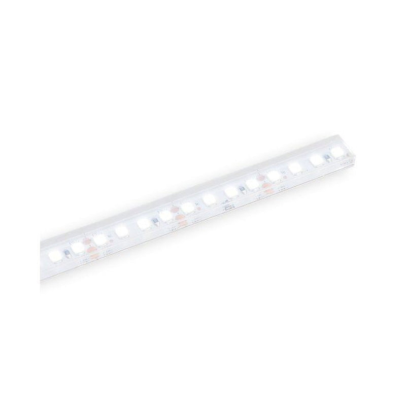Strip Light  Smd Led 5M  4000K - Main Product Image | UK Camping and Leisure