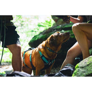 Ruffwear Flagline Dog Harness with Handle in Basalt Grey (L / XL) Ruffwear - UK Camping And Leisure
