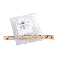 Fits Fiat Ducato Rear Logo X250 X290 from 2014