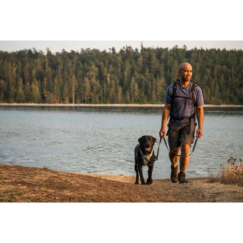 Ruffwear Front Range Dog Harness in River Rock Green (Medium) Ruffwear - UK Camping And Leisure