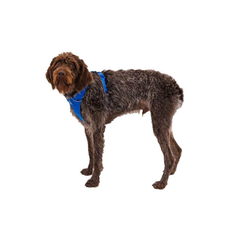 Ruffwear Front Range Dog Harness in Blue Pool (Medium) Ruffwear - UK Camping And Leisure