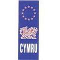 MDS1203 W4 Euro CYMRU Upright Plate Sticker 37147 W4 - UK Camping And Leisure