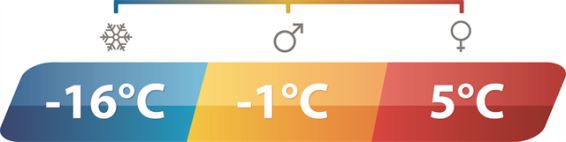 Outwell Camper Lux Double Forest Green Double Sleeping Bag Outwell - UK Camping And Leisure