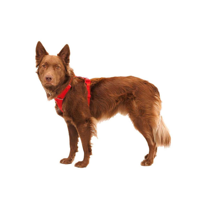 Ruffwear Front Range Dog Harness in Red Canyon (X Small) Ruffwear - UK Camping And Leisure