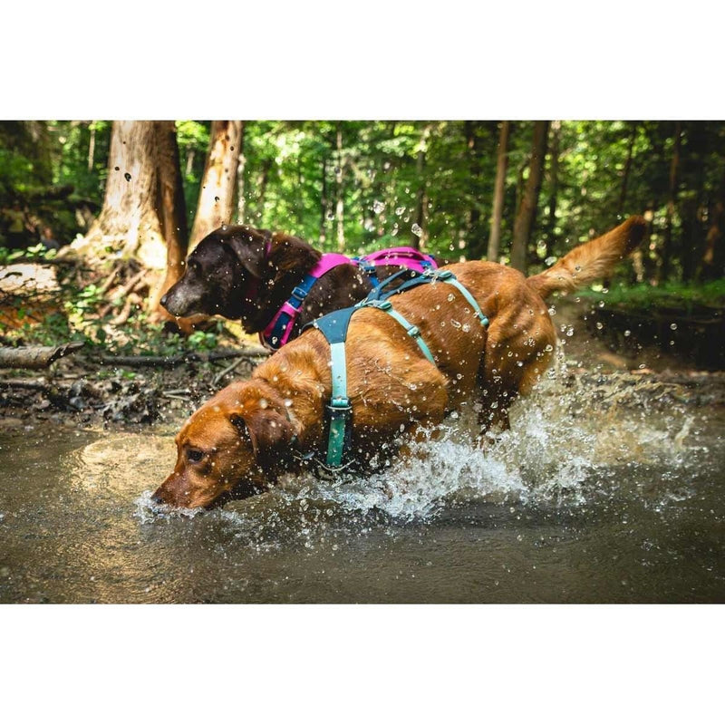 Ruffwear Flagline Dog Harness with Handle in Basalt Grey (L / XL) Ruffwear - UK Camping And Leisure