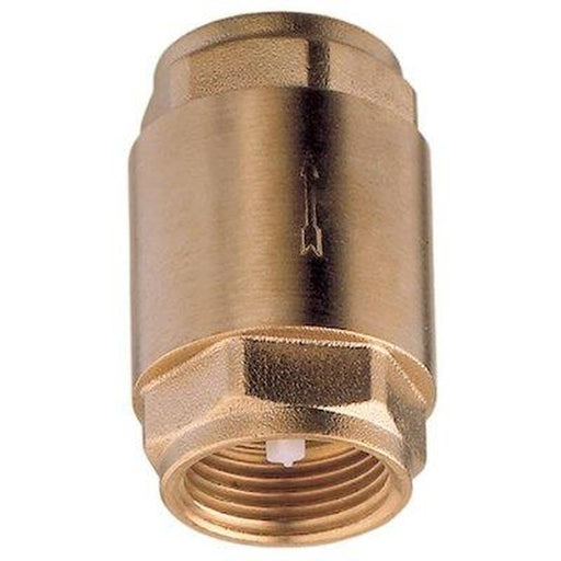 Spring Check Valve 1/2" BSP Female AG - UK Camping And Leisure