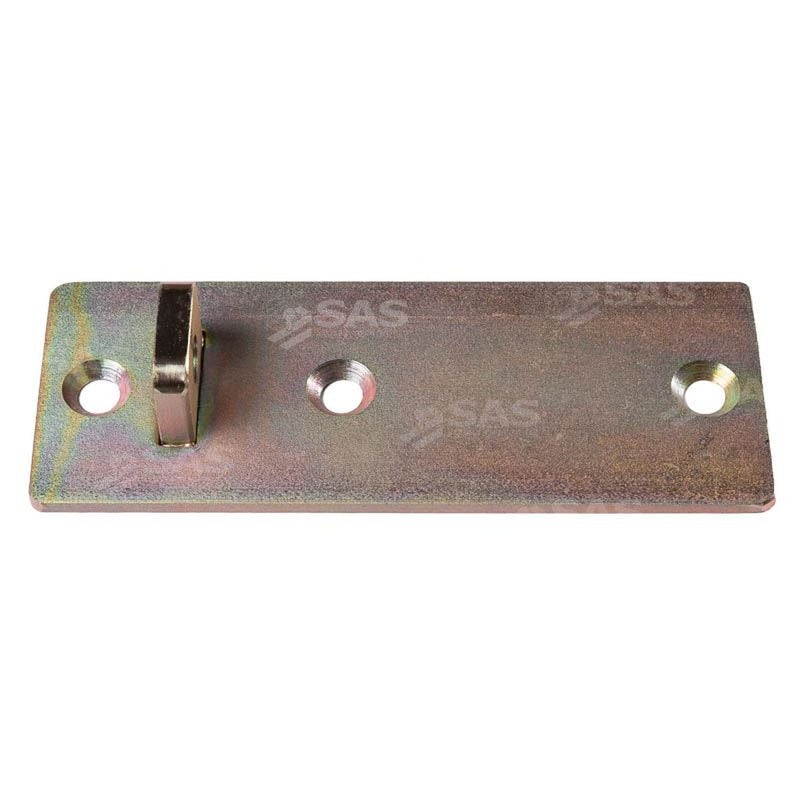 SAS Security Products SAS Replacement Fixing Plate for Garage Defender Master | UK Camping and Leisure