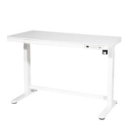 Dellonda Single Motor Ultra-Quiet Electric Desk with Control Panel USB Port Dellonda - UK Camping And Leisure