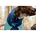 Ruffwear Dirtbag Dog Towel Aurora Teal (Large) Ruffwear - UK Camping And Leisure