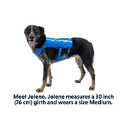 Ruffwear Trail Runner Dog Running Vest in Blue Pool (Small) Ruffwear - UK Camping And Leisure