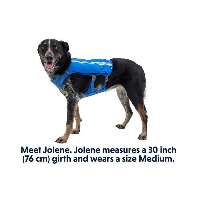 Ruffwear Trail Runner Dog Running Vest in Blue Pool (Small) Ruffwear - UK Camping And Leisure