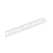 Strip Light  Smd Led 5M  4000K - Main Product Image | UK Camping and Leisure