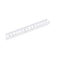 Strip Light  Smd Led 5M  4000K