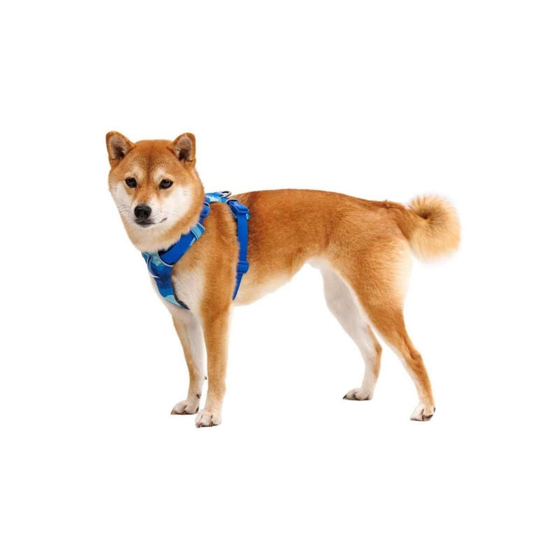 Ruffwear Front Range Dog Harness - Coastal Mountains Print (X Small) Ruffwear - UK Camping And Leisure