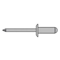 Steel Rivet 48X12Mm (3/16X1/2") (100) PRS4