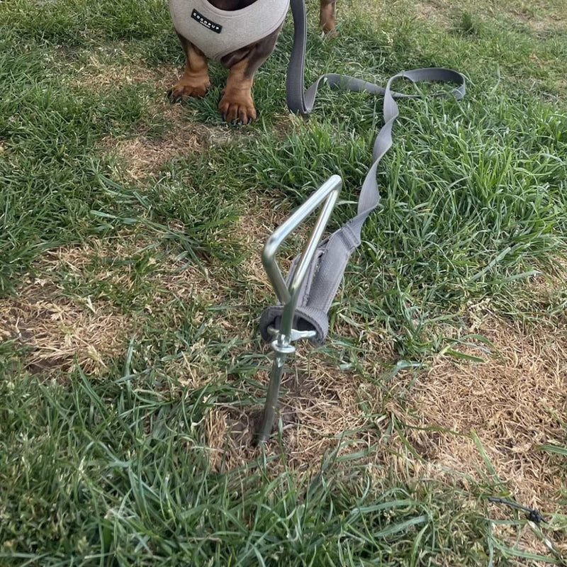 Olpro Dog Tie Down Anchor - View 4