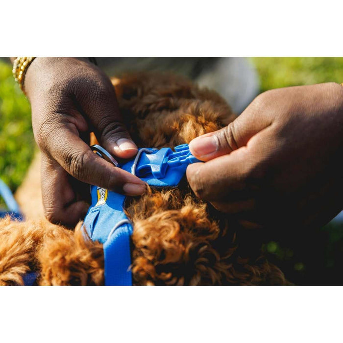 Ruffwear Front Range Dog Harness in Blue Pool (X Small) Ruffwear - UK Camping And Leisure