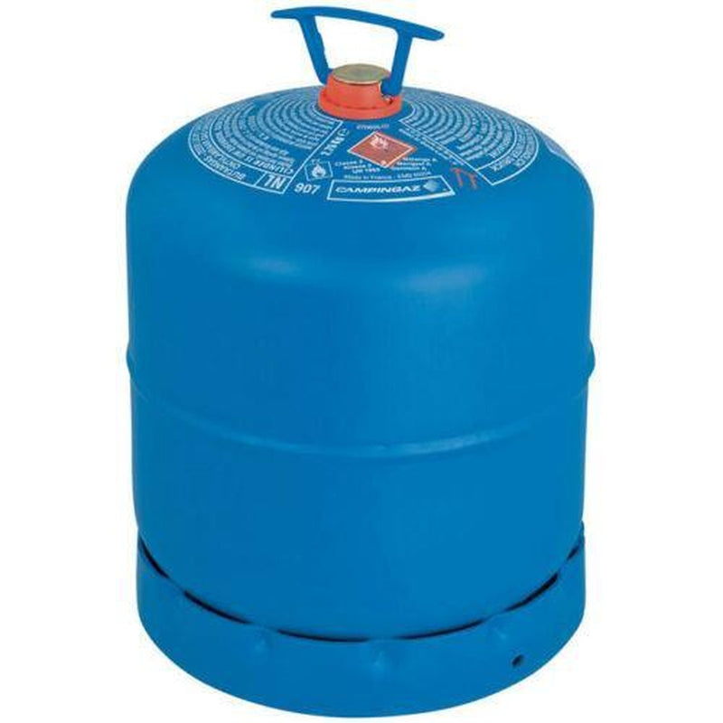CAMPINGAZ Type 30mbar GAS REGULATOR With 2m Hose + 2 Clips FITS 907 904 901 Campingaz - UK Camping And Leisure